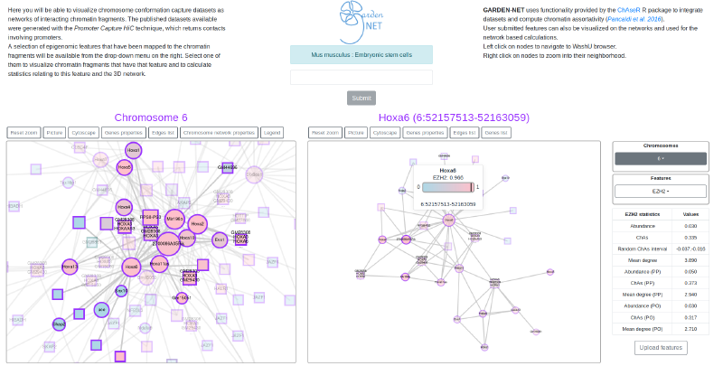 GARDEN-NET Visualization Tool
