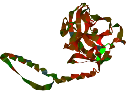 TP53 Protein Structure Visualization