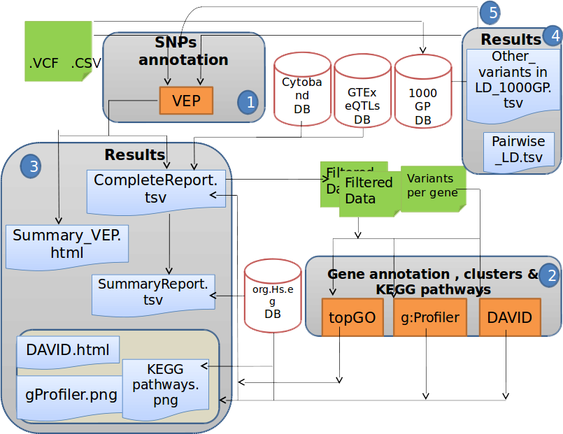 DoriTool: a bioinformatics integrative tool for post-association functional annotation